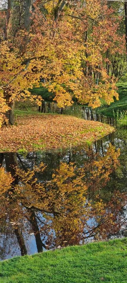 L'automne au bord de l'étang puzzle en ligne