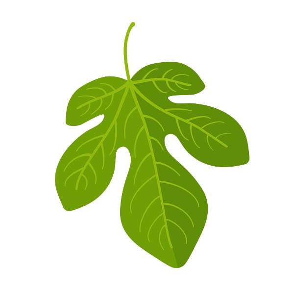 one leaf puzzle online from photo