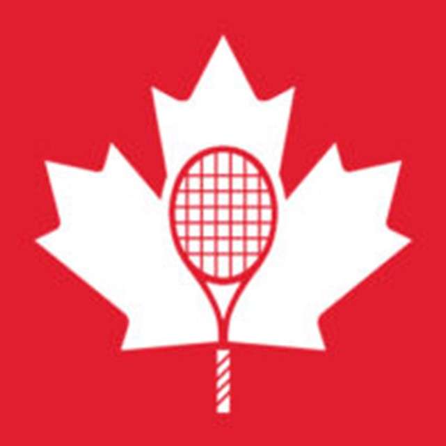 tenniscan puzzle online from photo