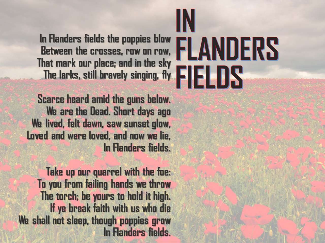 In flanders fields online puzzle