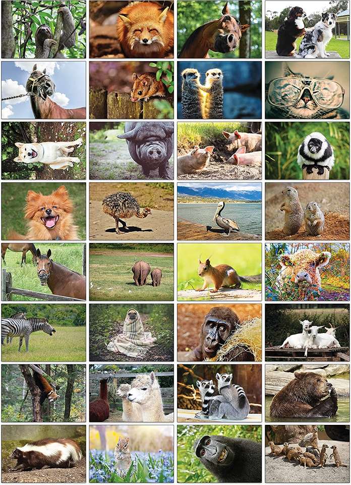 Happy pets puzzle online from photo