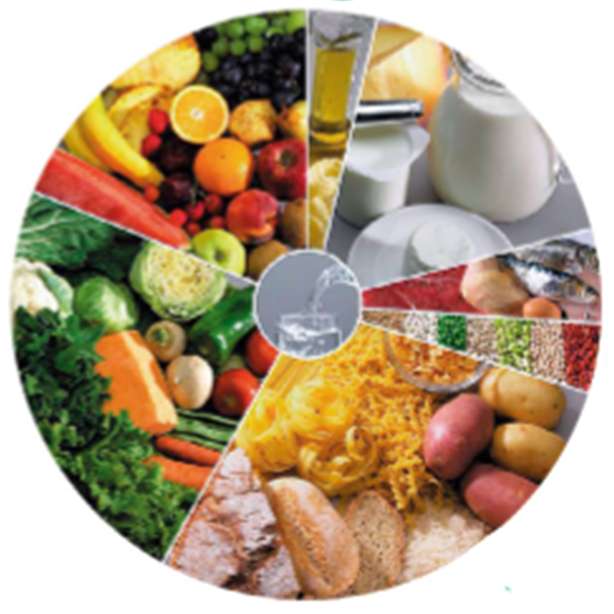Food wheel - 2nd puzzle online from photo