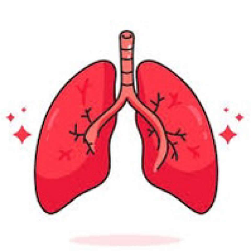 Rompecabezas de pulmón puzzle online a partir de foto