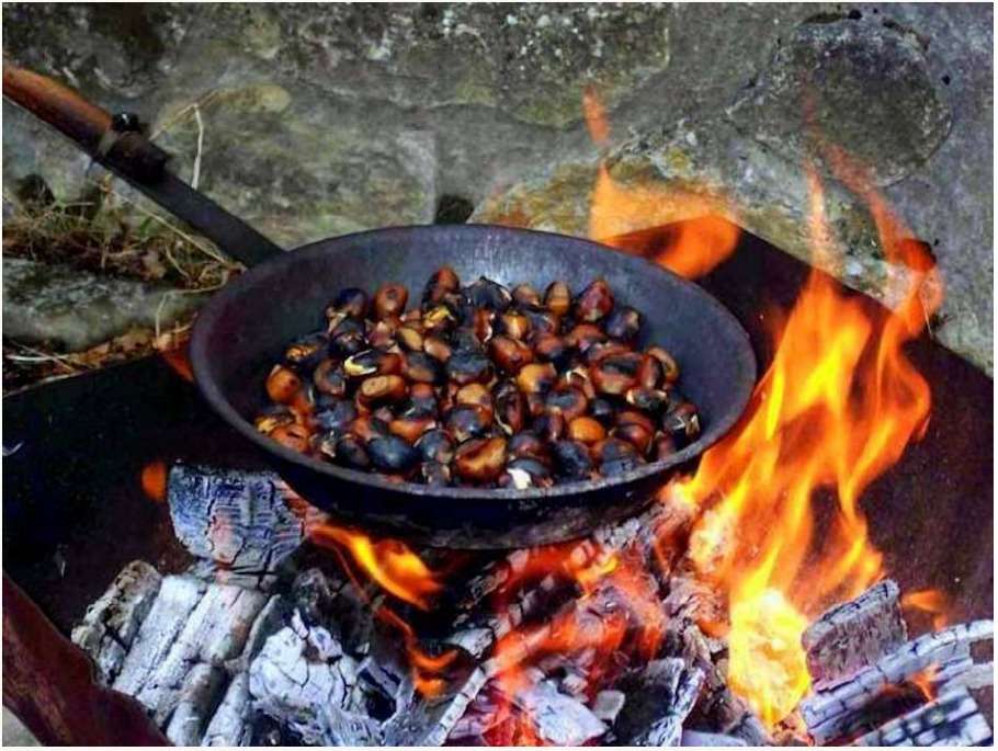 castañas rompecabezas en línea