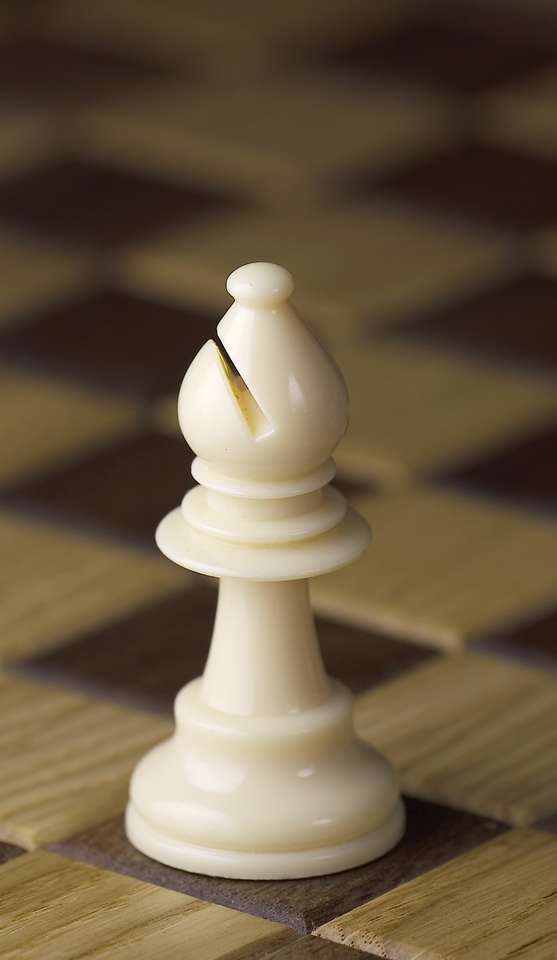 Chess piece puzzle online from photo