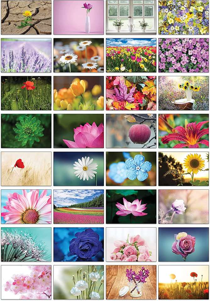 Különböző virágok online puzzle