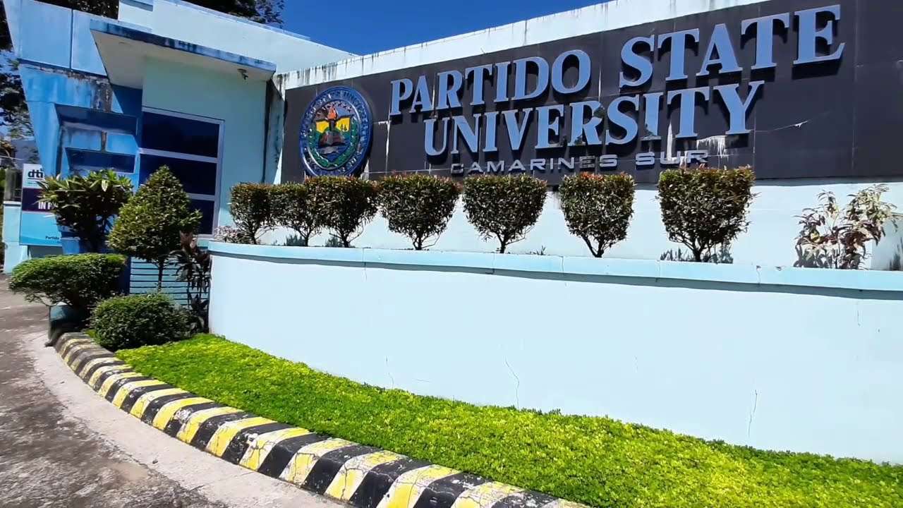 Staatliche Partido-Universität Online-Puzzle