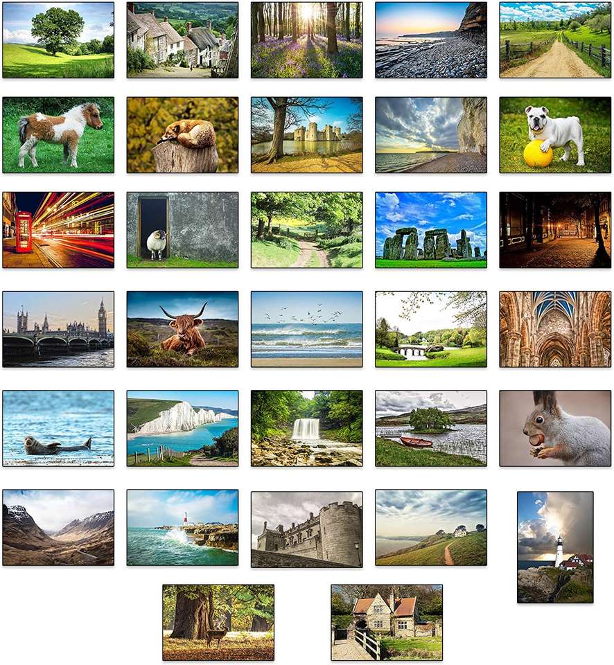 Views and pets puzzle online from photo