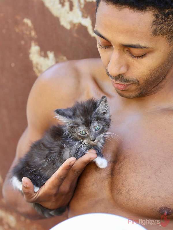 A firefighter with a kitty. puzzle online from photo