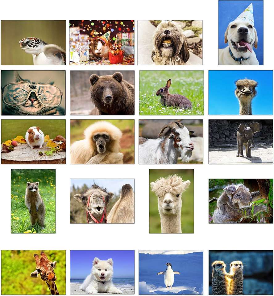 Smiling animals online puzzle