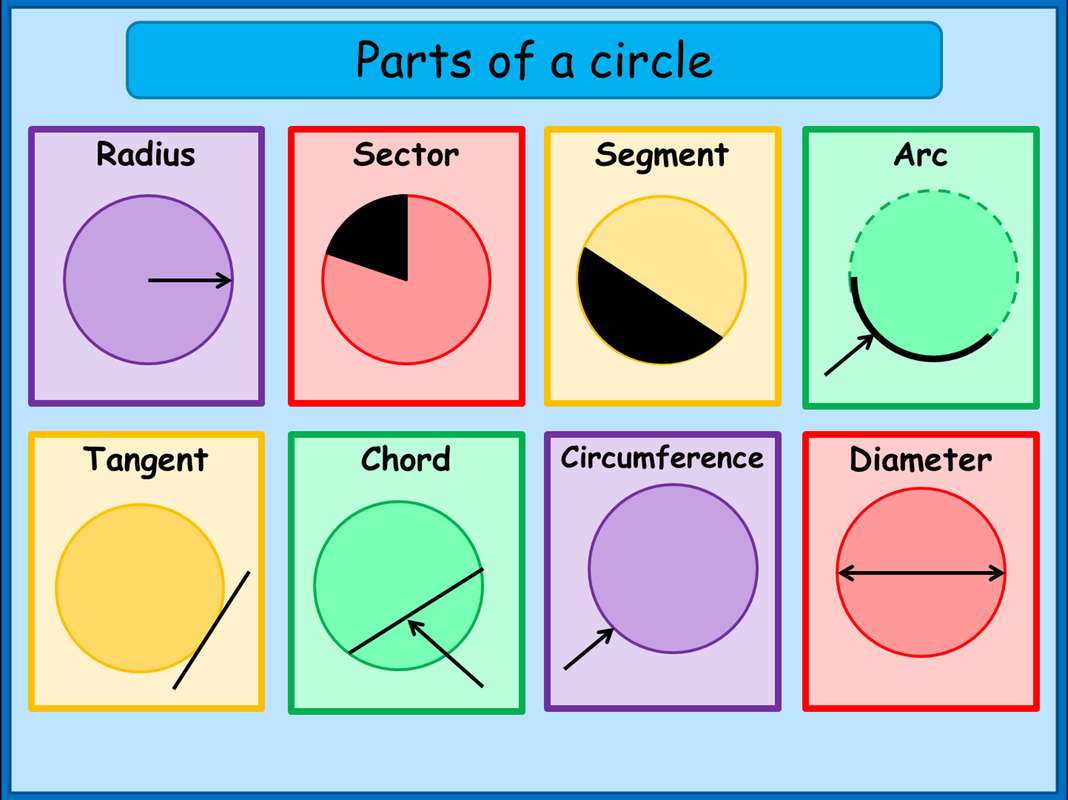 partes de um círculo puzzle online