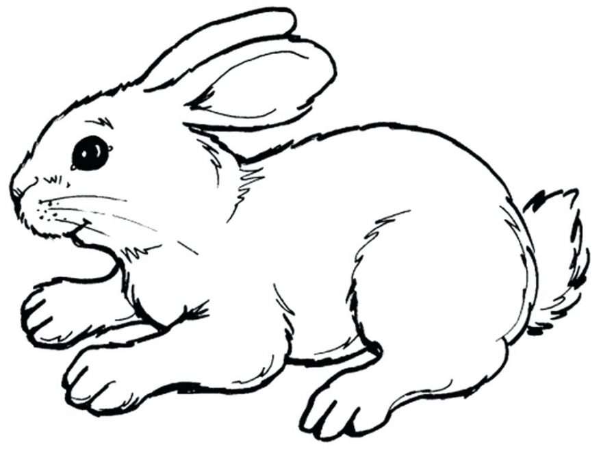 rabbit_free puzzle online