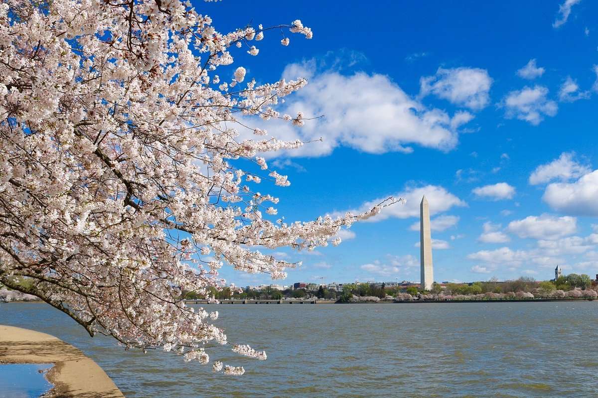 tidal basin puzzle online from photo