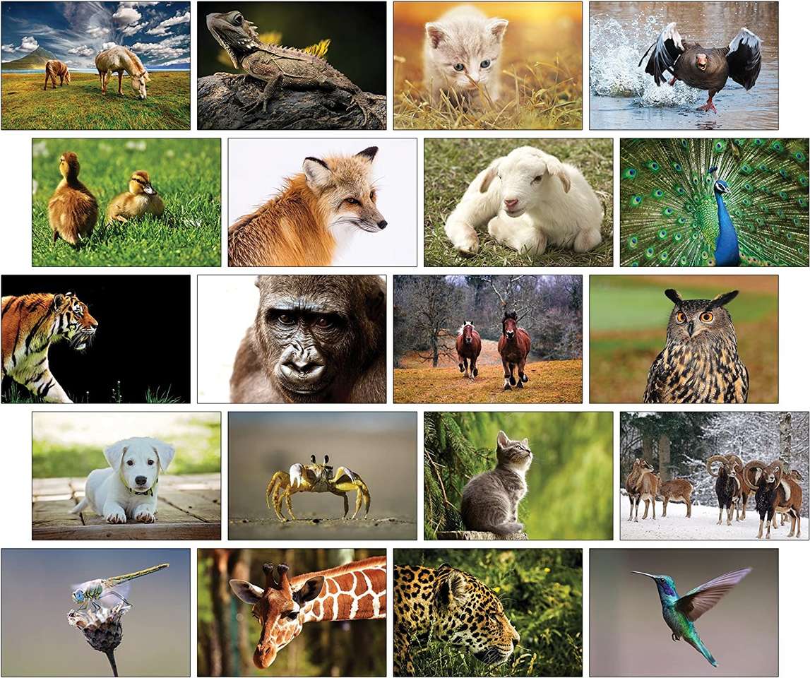 Și din nou, animal puzzle online