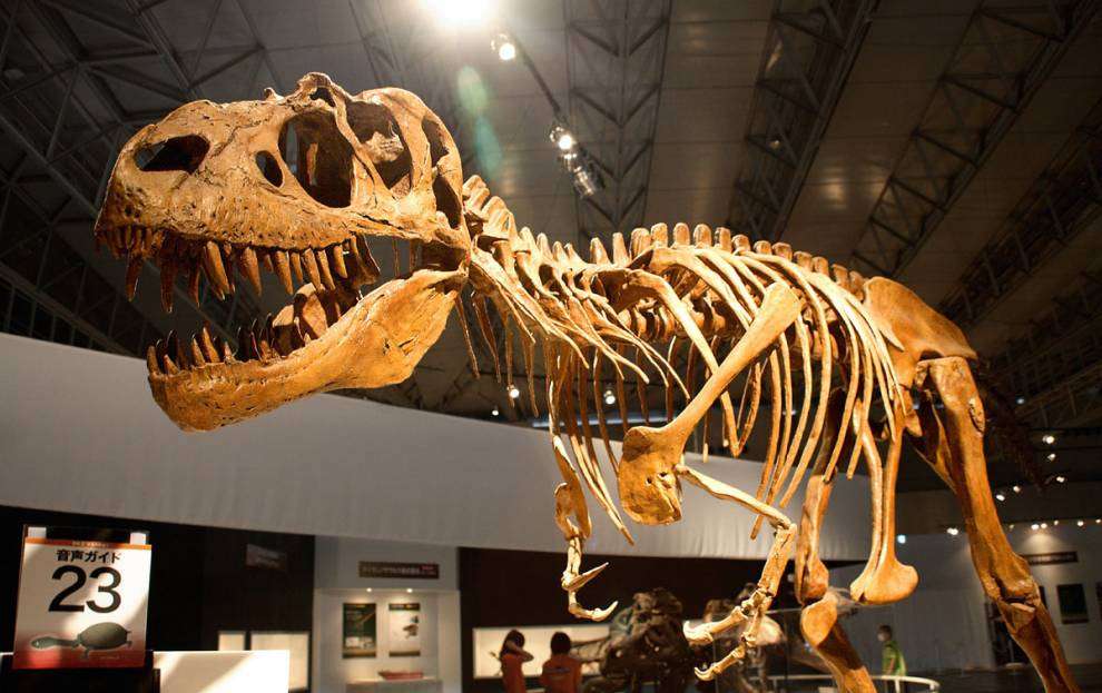 Динозавр скласти пазл онлайн з фото