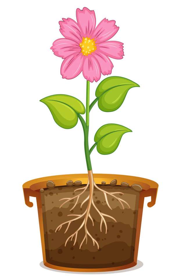 PLANTAS PARTE - puzzle online