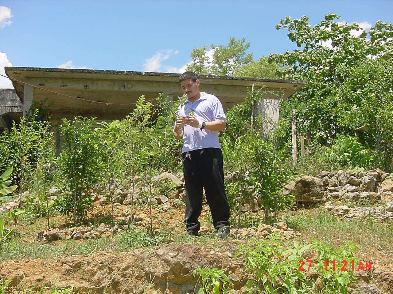 SAMUEL TELLADO ON A HILL IN VEGA ALTA puzzle online from photo