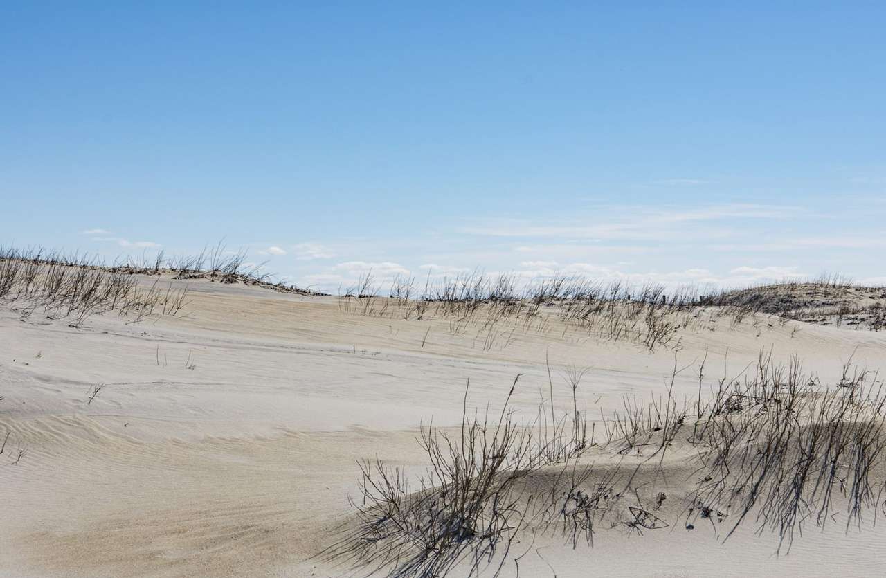 Plaja cu dune puzzle online din fotografie