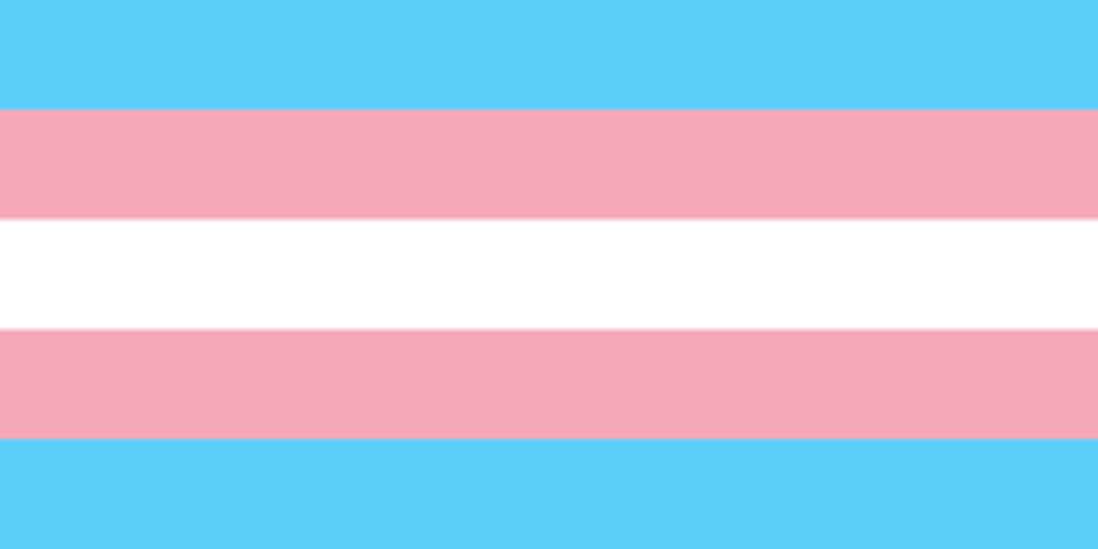 Прапор гордості трансгендерів онлайн пазл