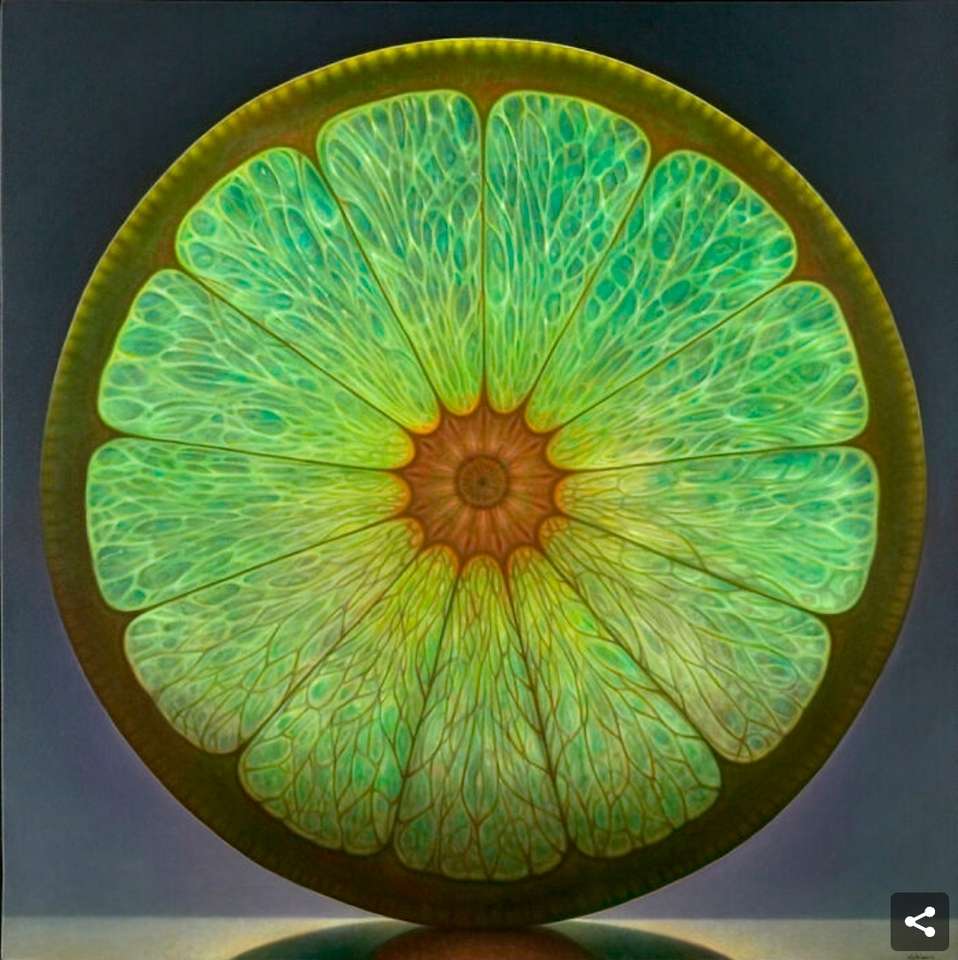Tranche de citron vert puzzle en ligne à partir d'une photo