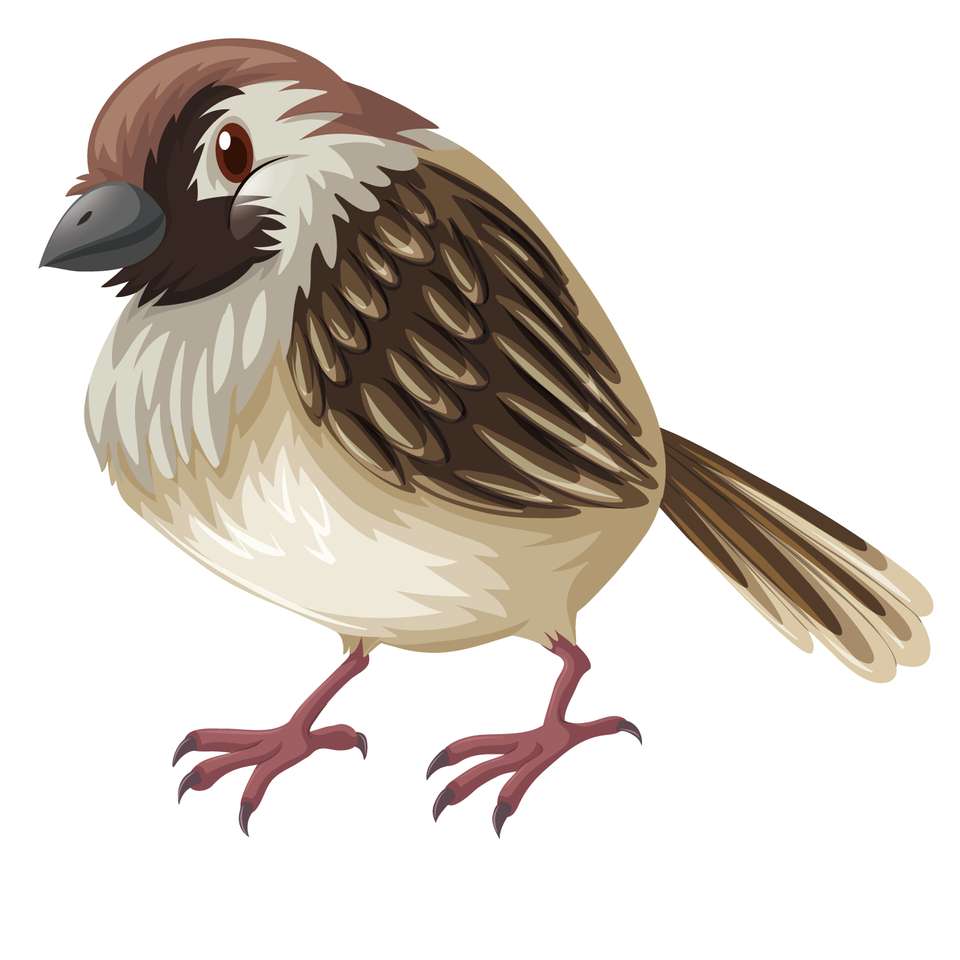 sparrow puzzle puzzle online from photo
