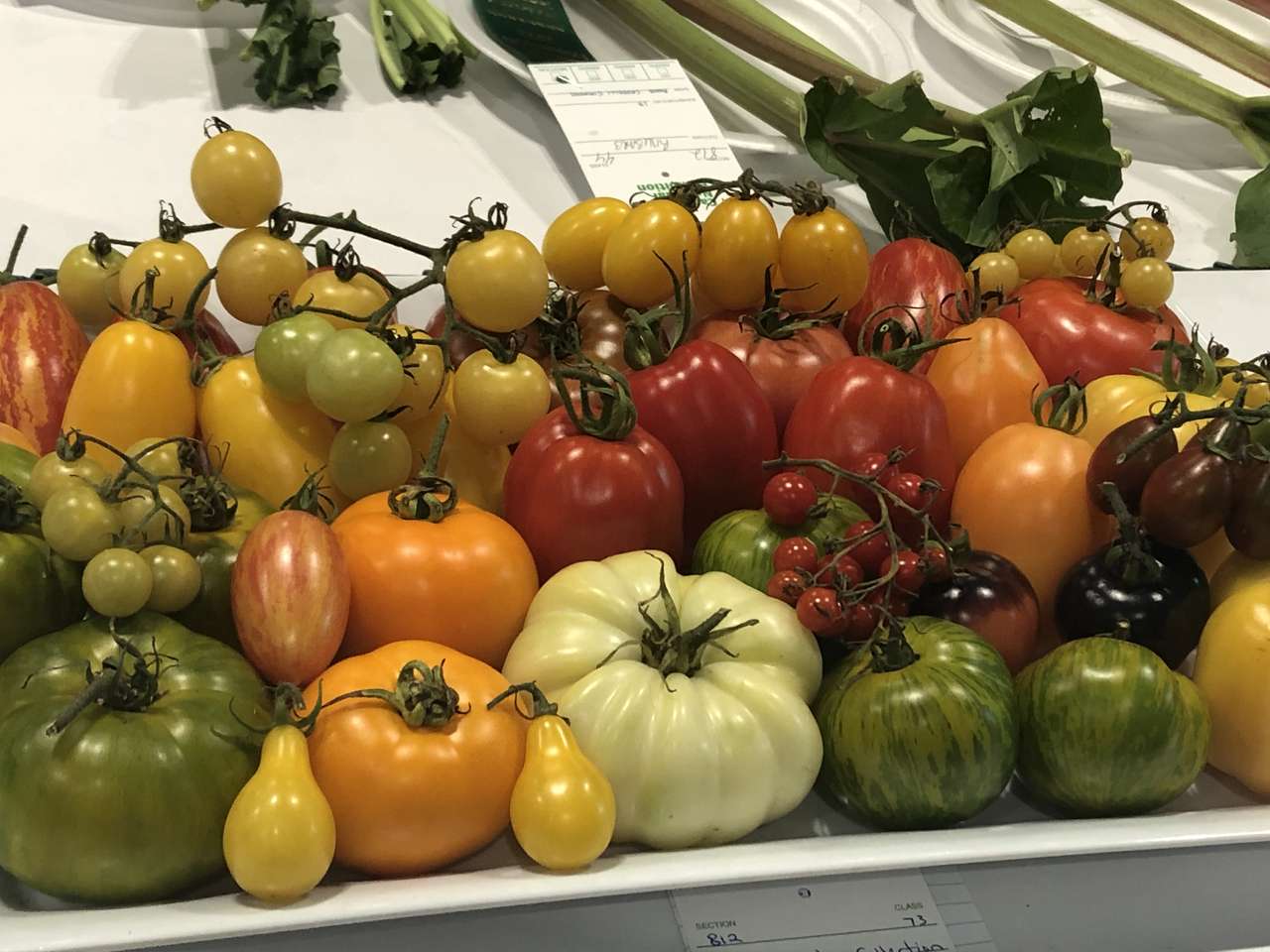 Alimentos Tomates puzzle online a partir de fotografia
