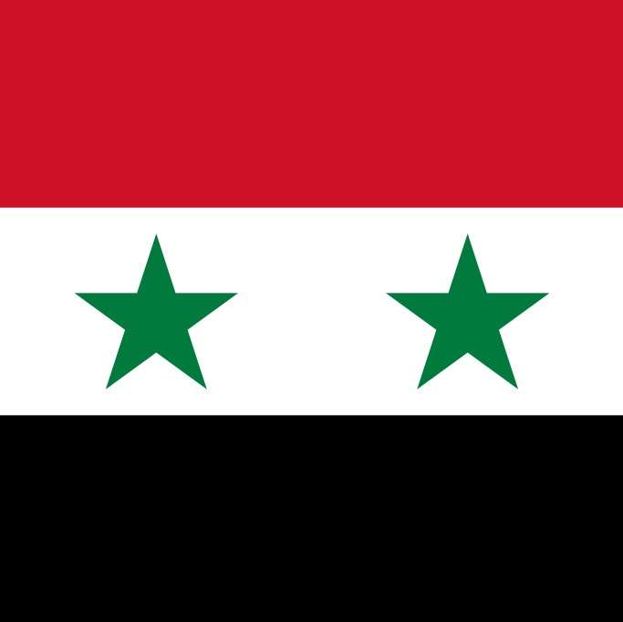 Syrian flag puzzle online from photo