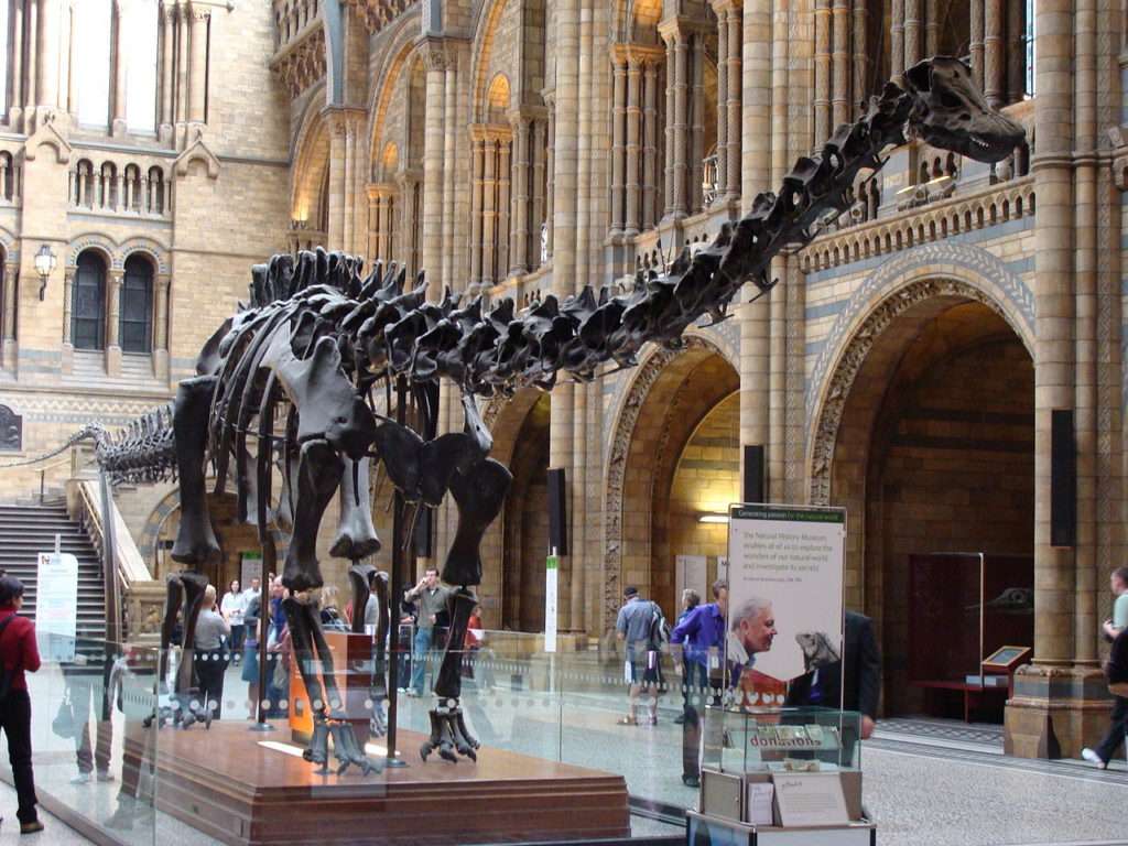 Natural History Museum online puzzle