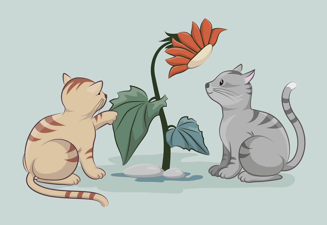 Γάτα και λουλούδι online παζλ