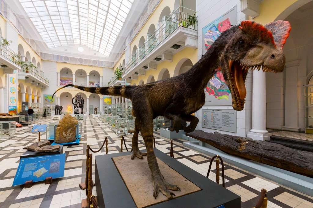 Dino-Museum Online-Puzzle