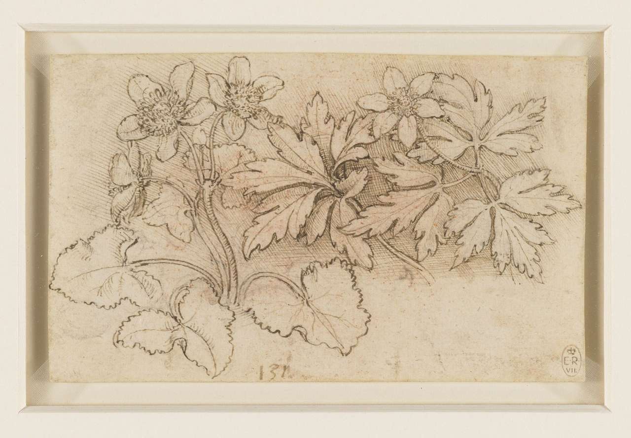 Sketch of Foliage online puzzle