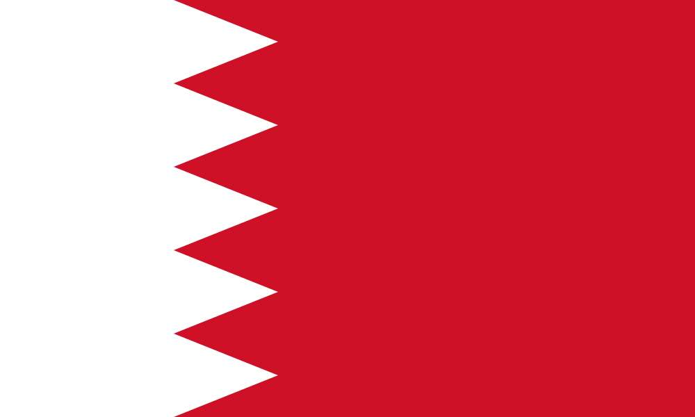 Bahrain flag puzzle online from photo