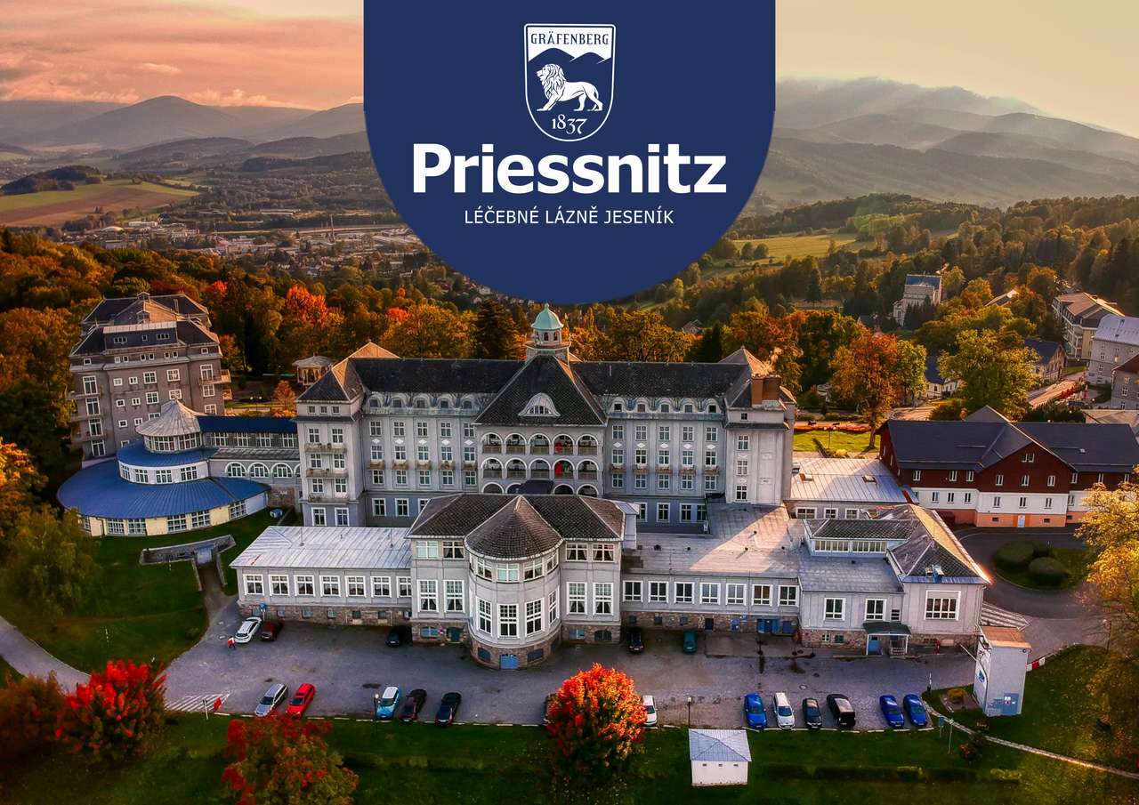 Priessnitz puzzle online from photo