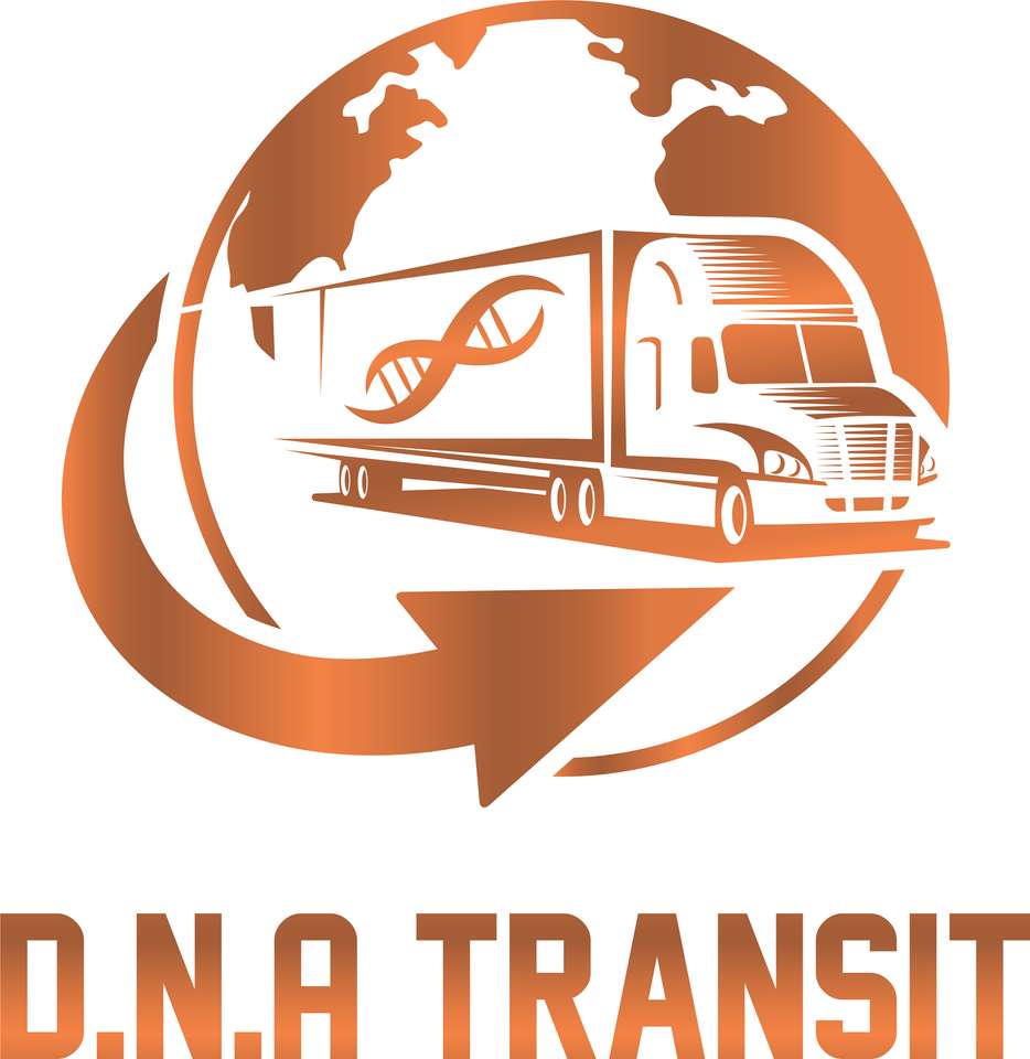 Transit DNA puzzle online z fotografie