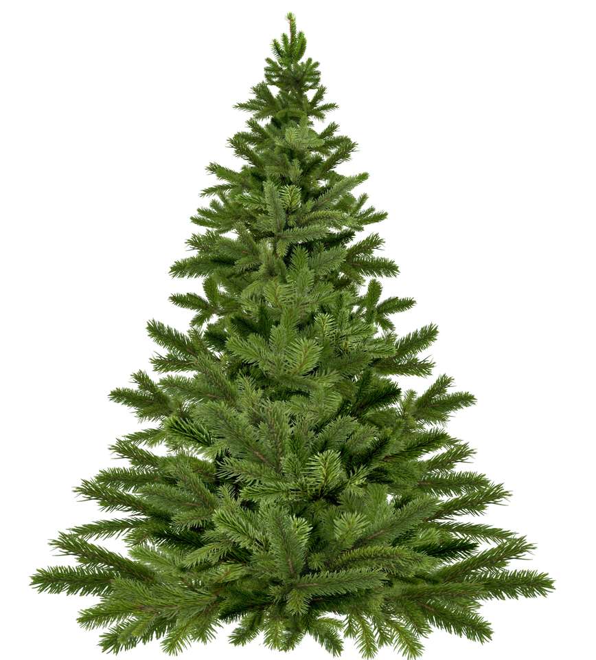 クリスマスツリーを組み立てる 写真からオンラインパズル