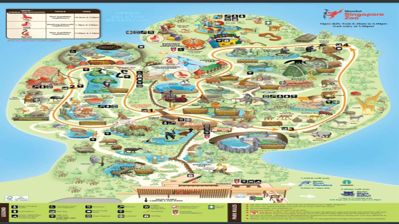 新加坡动物园地图 онлайн пъзел