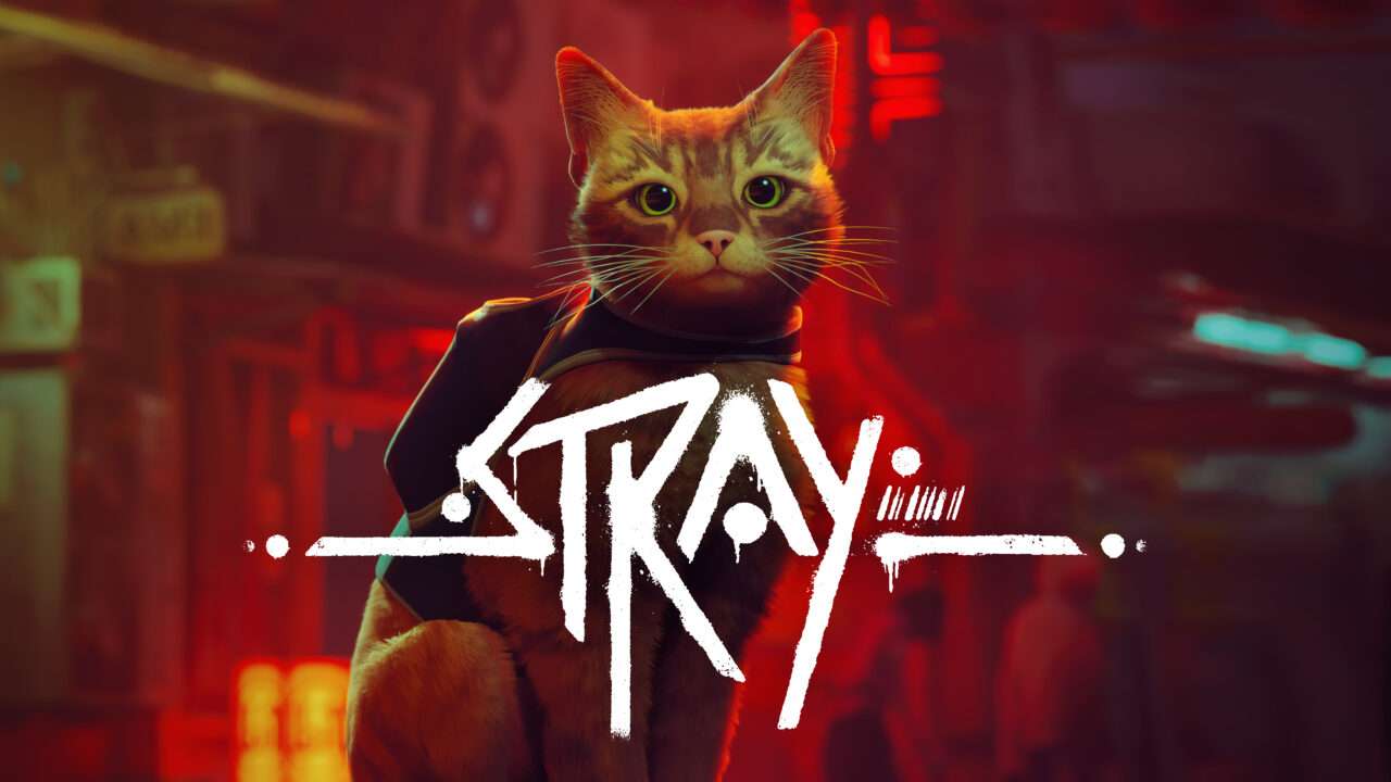 strayimage puzzle online from photo
