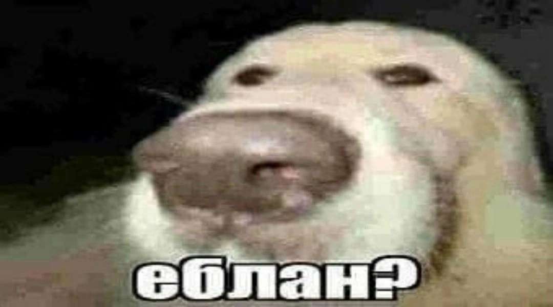 Еблан? онлайн пазл