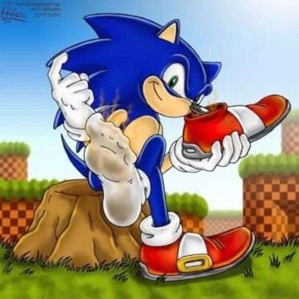 Sonic Pro puzzle online from photo