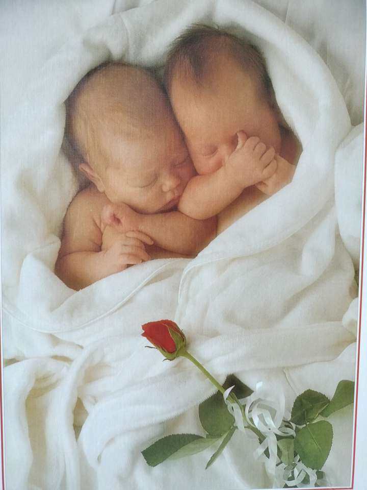 Sleeping babies puzzle online from photo