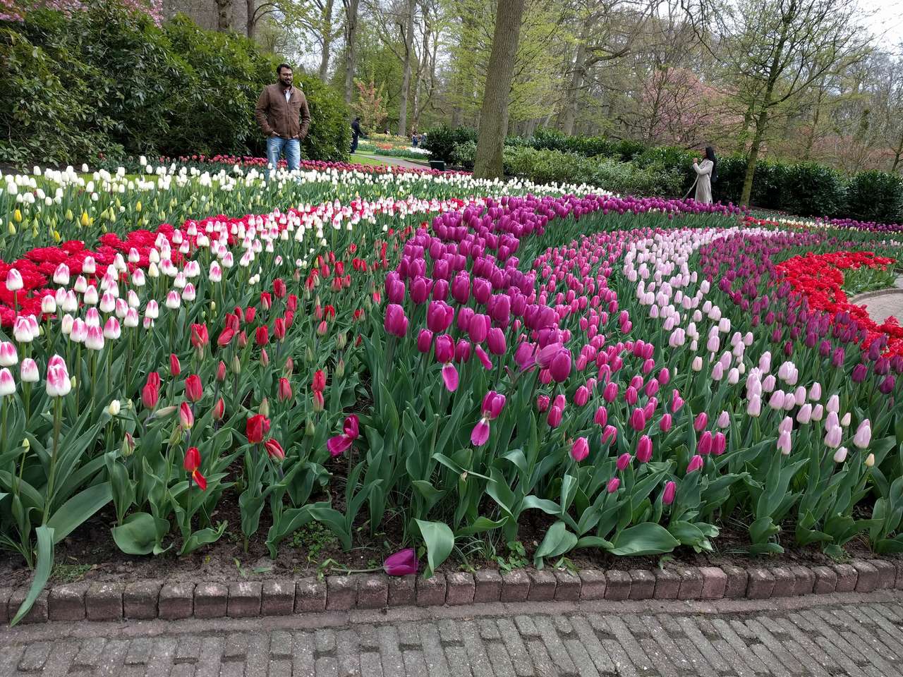 Keukenhof tulip garden puzzle online from photo