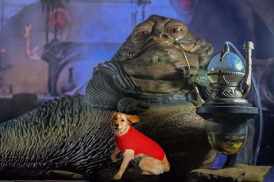 Jabba e il cane puzzle online