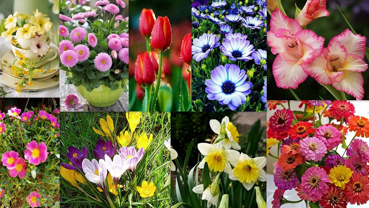 Mix Floral puzzle online din fotografie