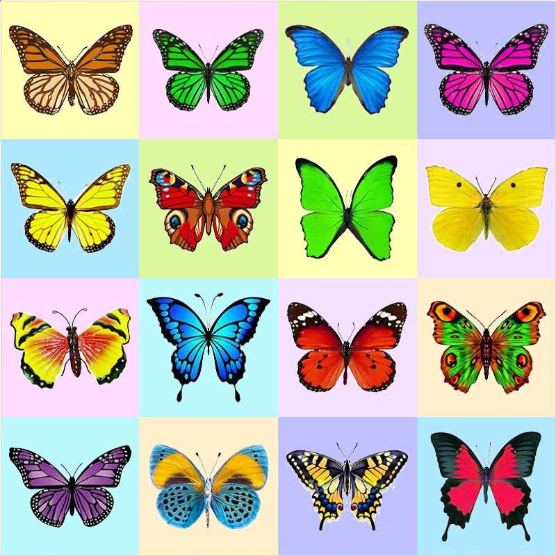 Fjärilar II pussel online från foto