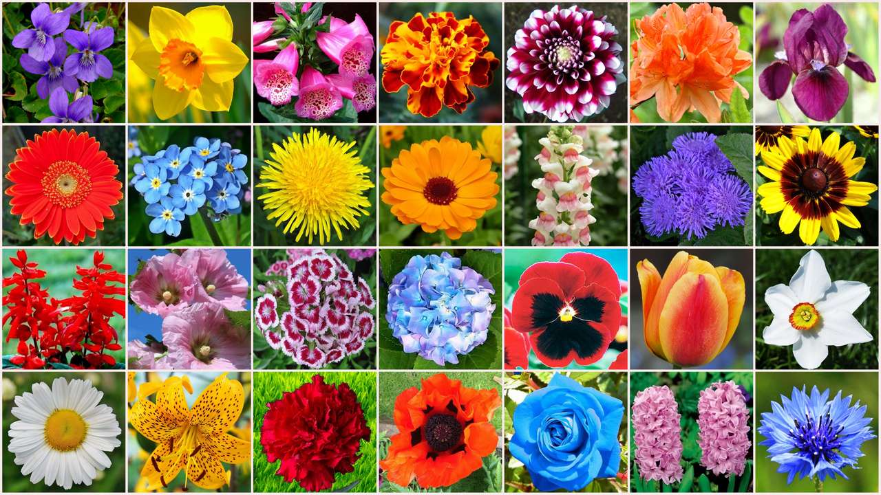 Summer flowers puzzle online from photo