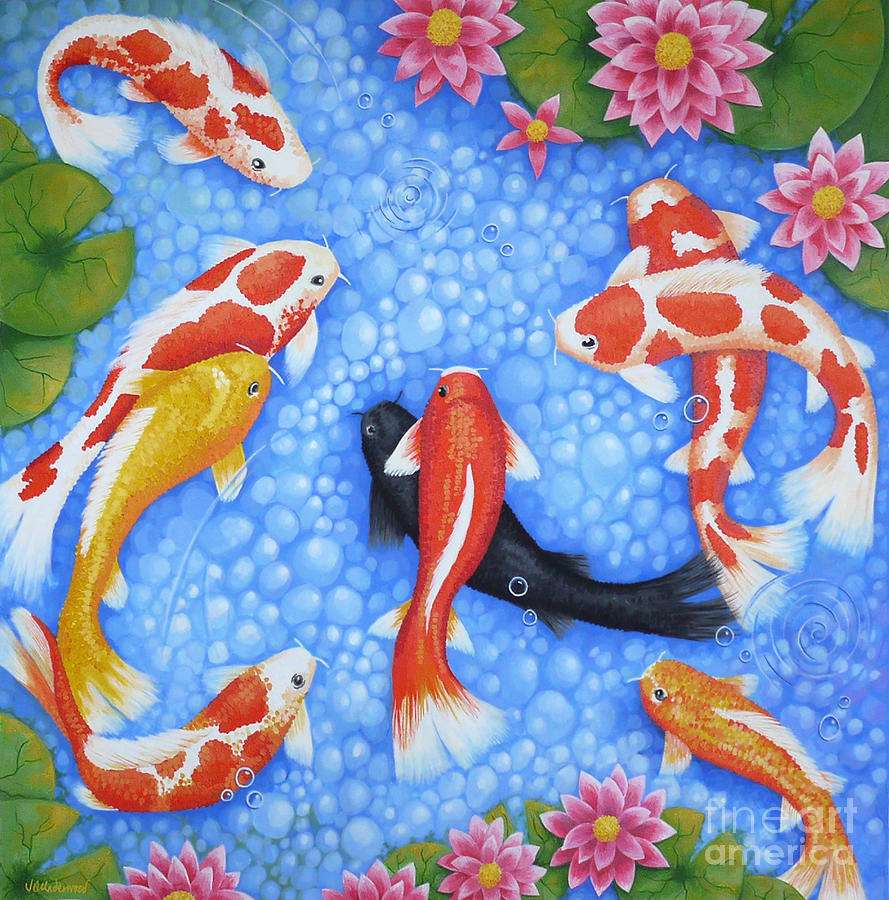 Blessing Koi Fish online puzzle