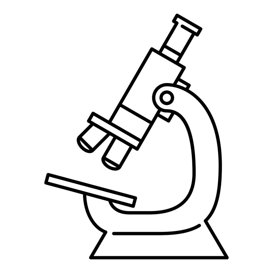 microscopio puzzle online