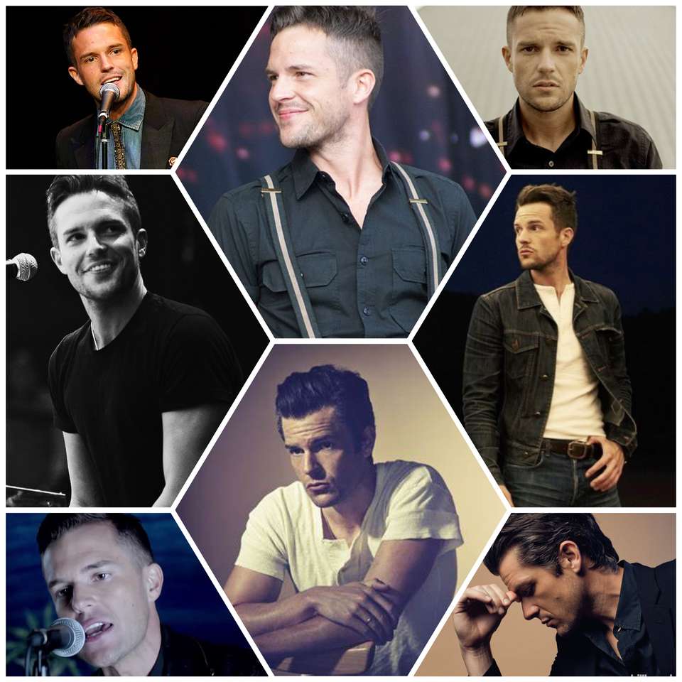 brandon flowers puzzle online from photo
