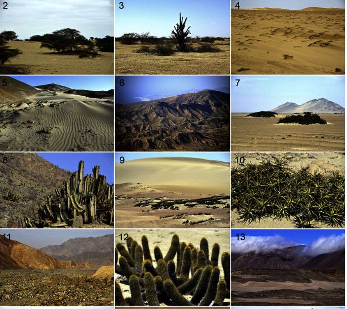 desierto puzzle online from photo