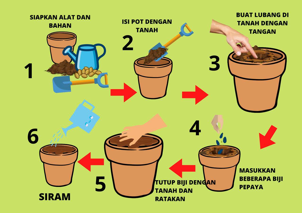 Planting Tutorial puzzle online from photo